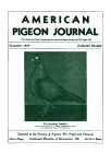 Magazine Cover